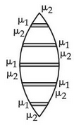 Figure for the question