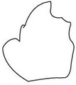 Figure for the question