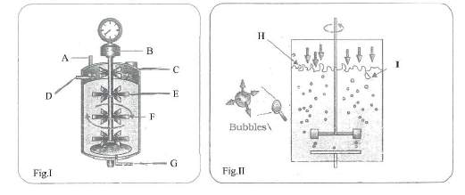 Figures I and II of bioreactors