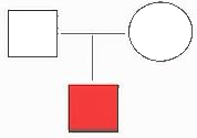 Pedigree chart