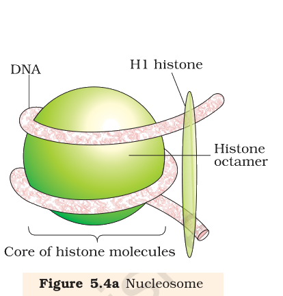 Textbook figure