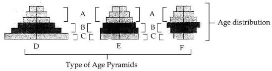 Age pyramids D, E and F with age groups A, B and C