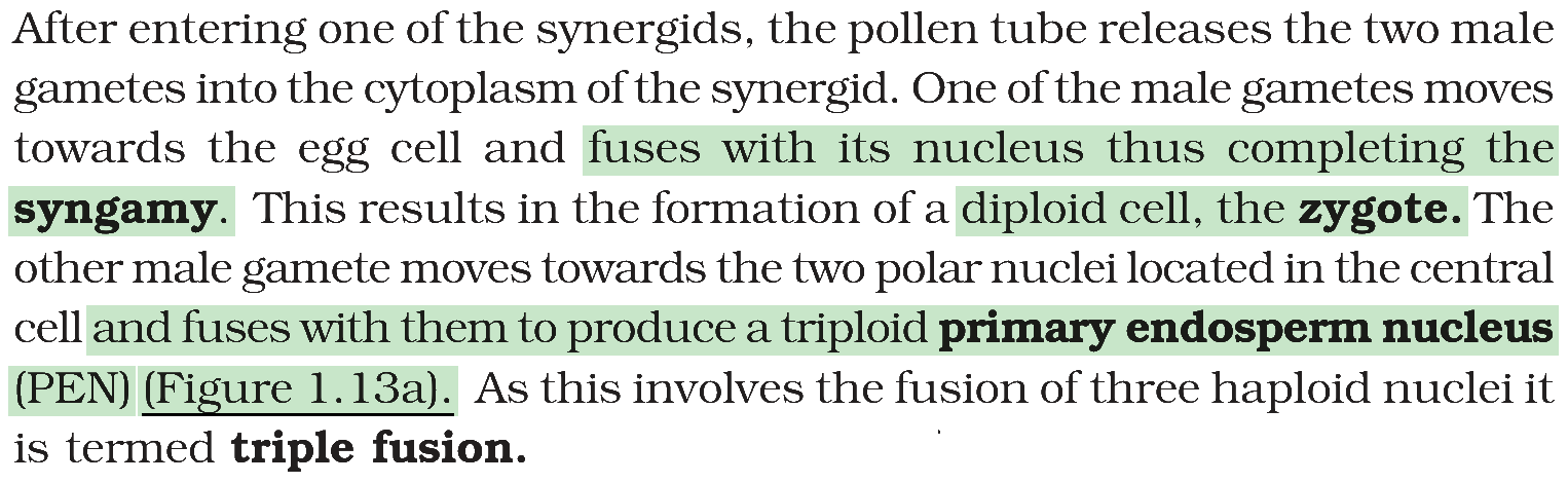 Textbook extract
