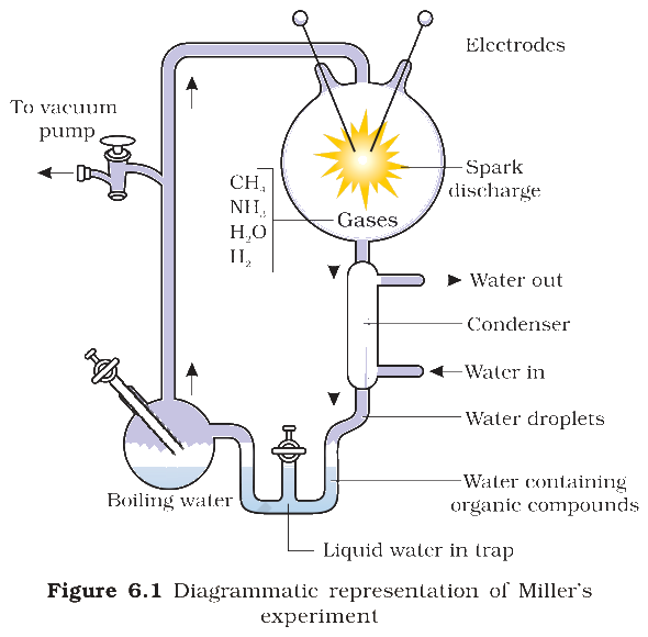 Textbook figure