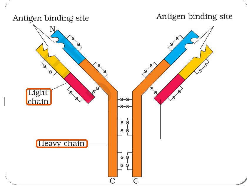 Textbook figure