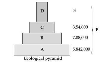 Figure for the question