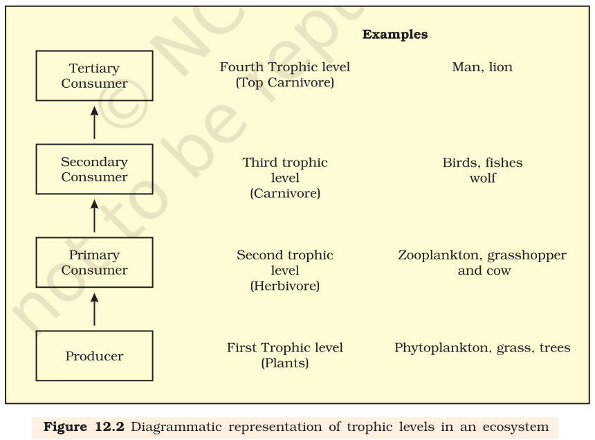 Textbook figure