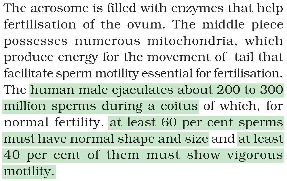 Textbook extract