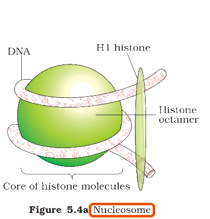 Textbook figure