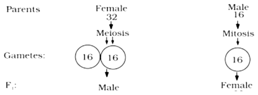 Figure for the question