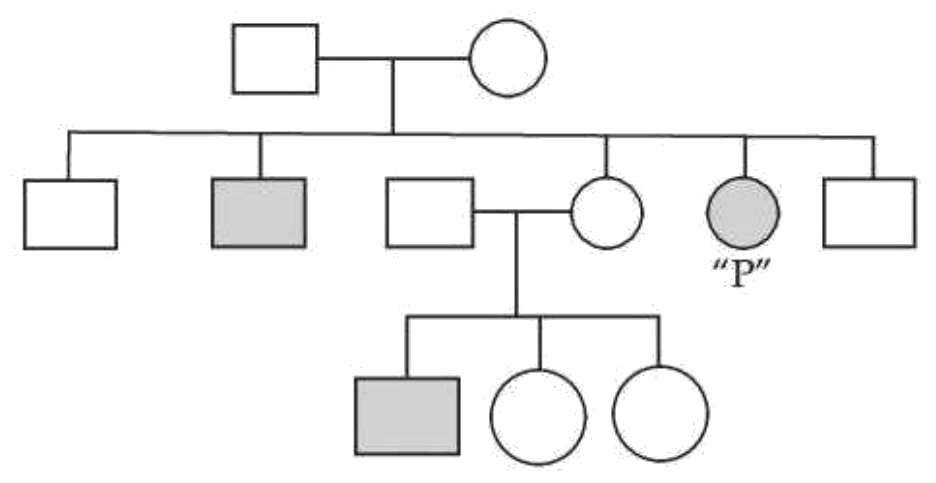 Pedigree chart