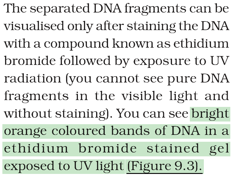 Textbook extract
