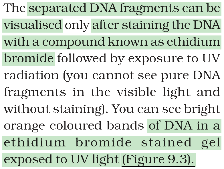 Textbook extract