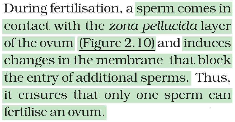 Textbook extract