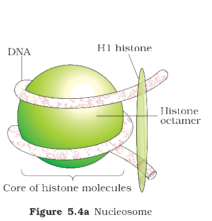 Textbook figure