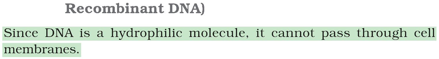 Textbook extract