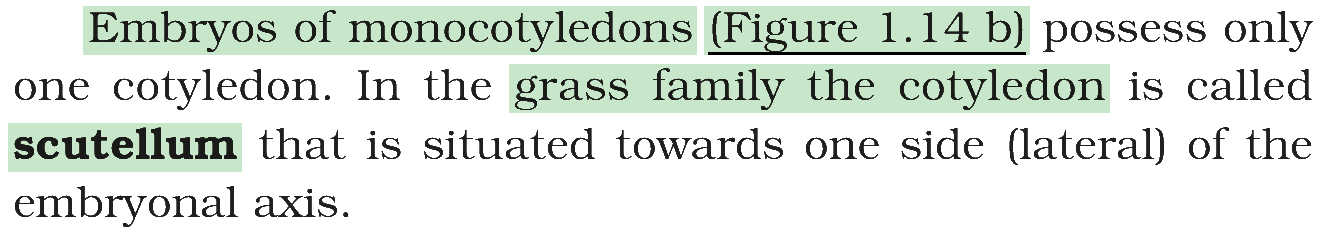 Textbook extract