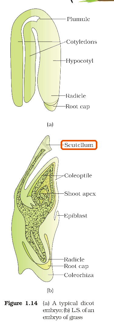 Textbook figure