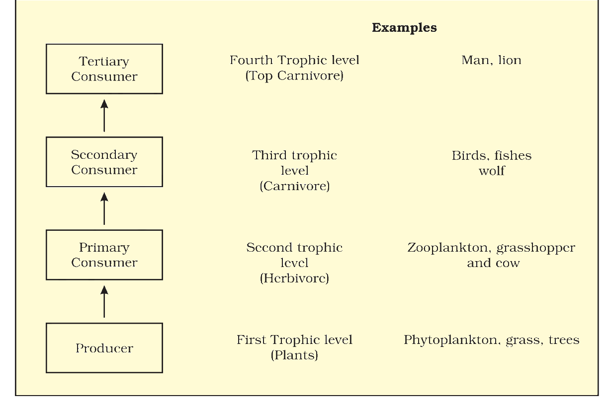 Textbook figure