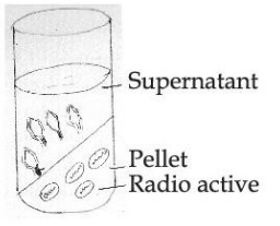 Experiment result figure