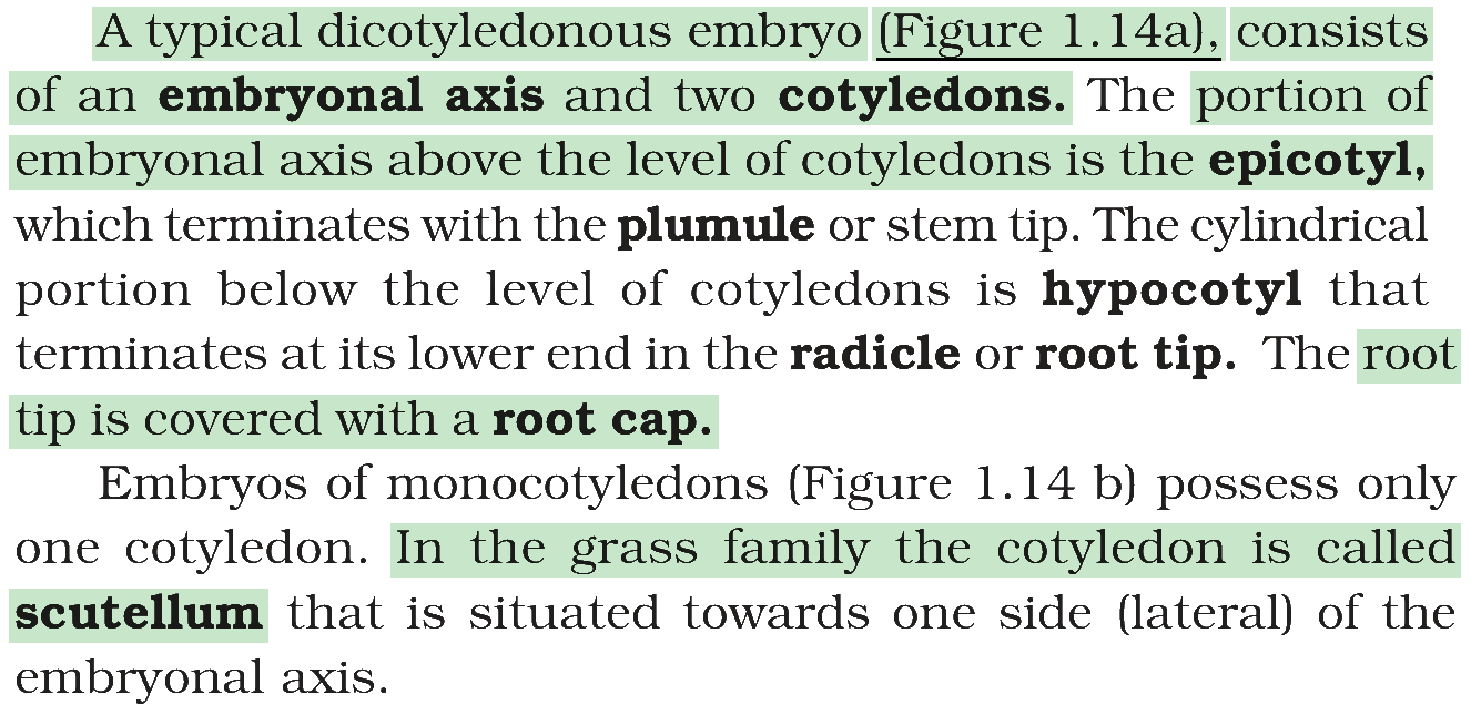 Textbook extract