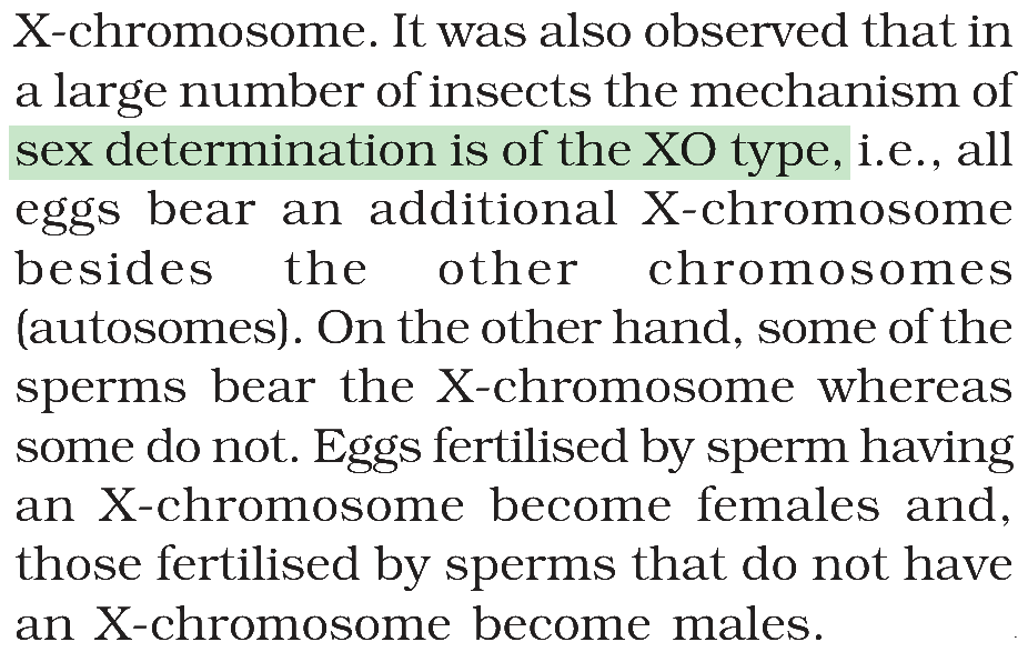 Textbook extract