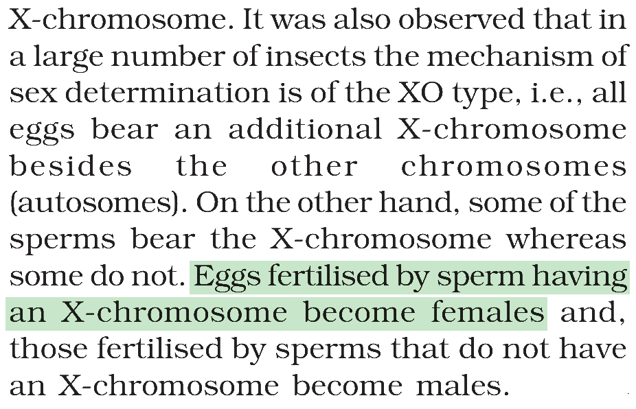 Textbook extract