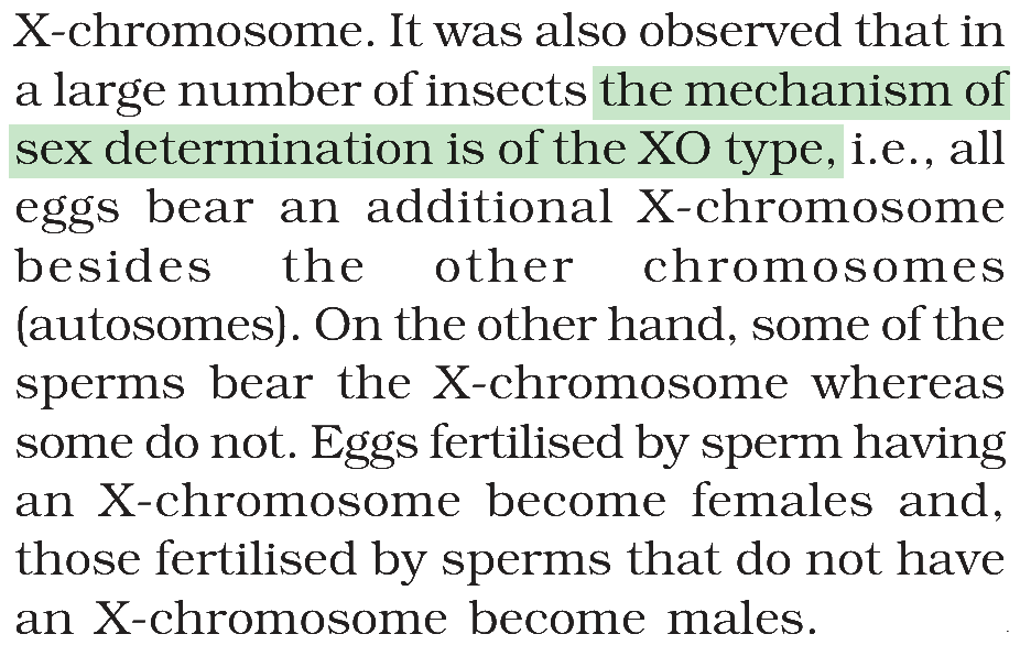 Textbook extract