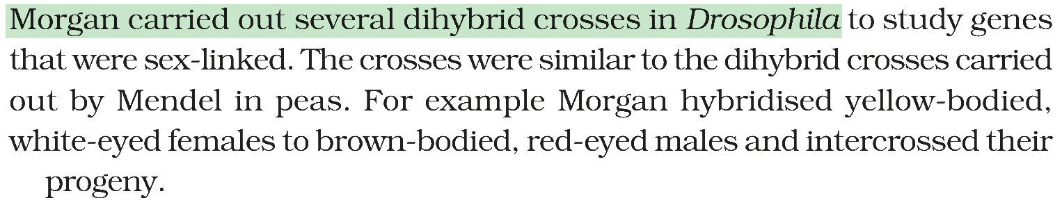 Textbook extract