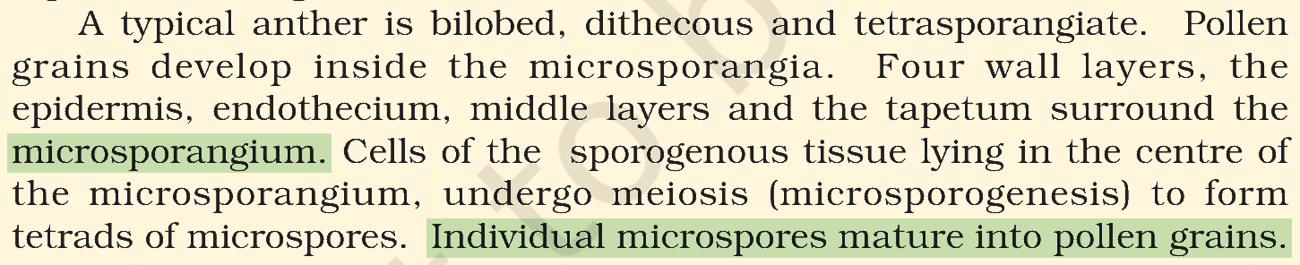 Textbook extract