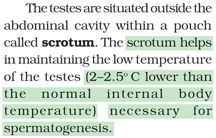 Textbook extract