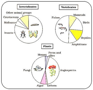 Pie diagrams of global biodiversity: invertebrates, vertebrates and plants