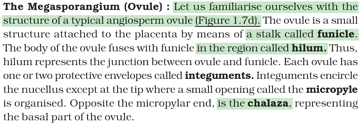 Textbook extract