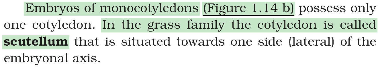 Textbook extract