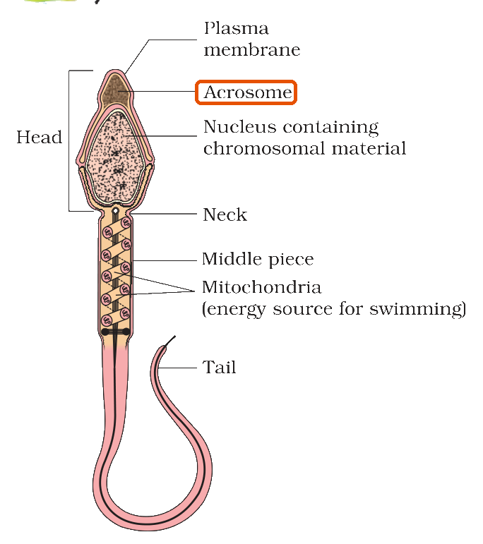 Textbook figure