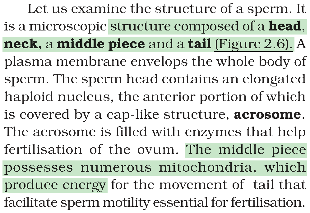 Textbook extract