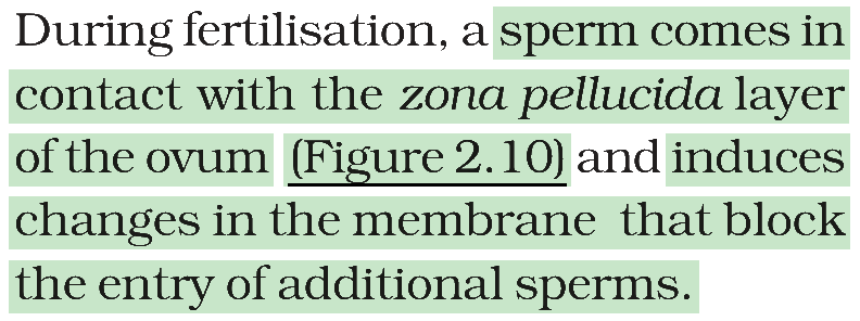Textbook extract
