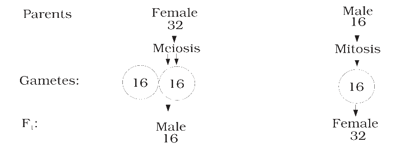 Textbook figure