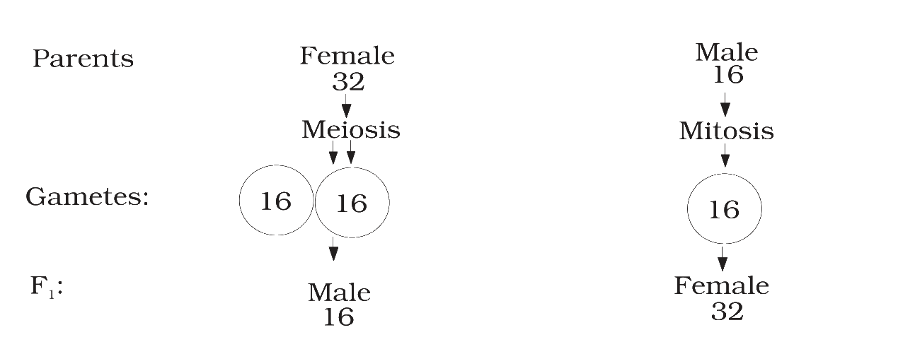 Textbook figure