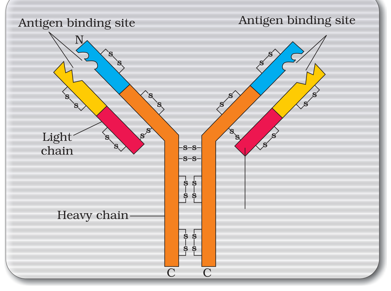 Textbook figure