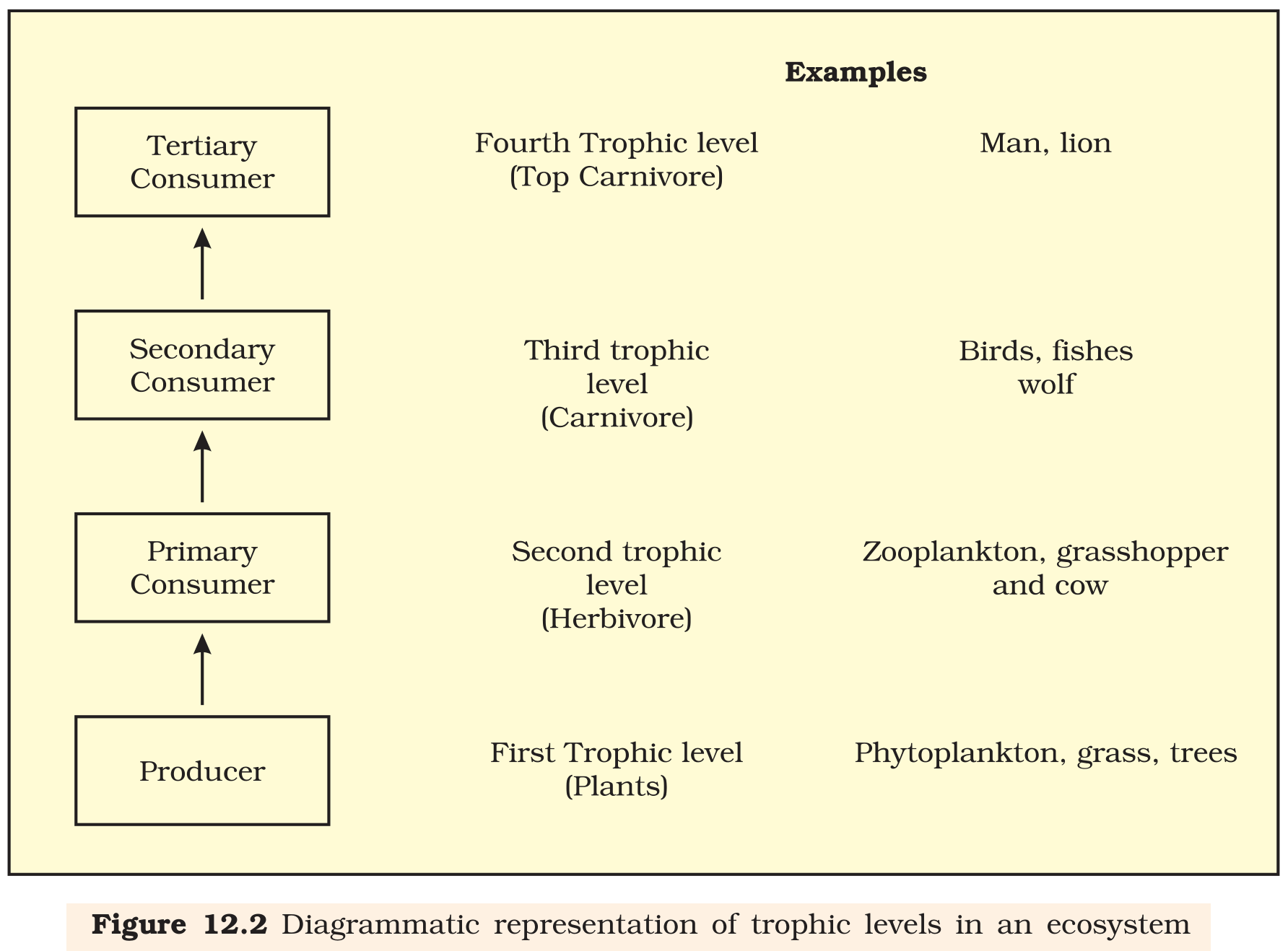 Textbook figure