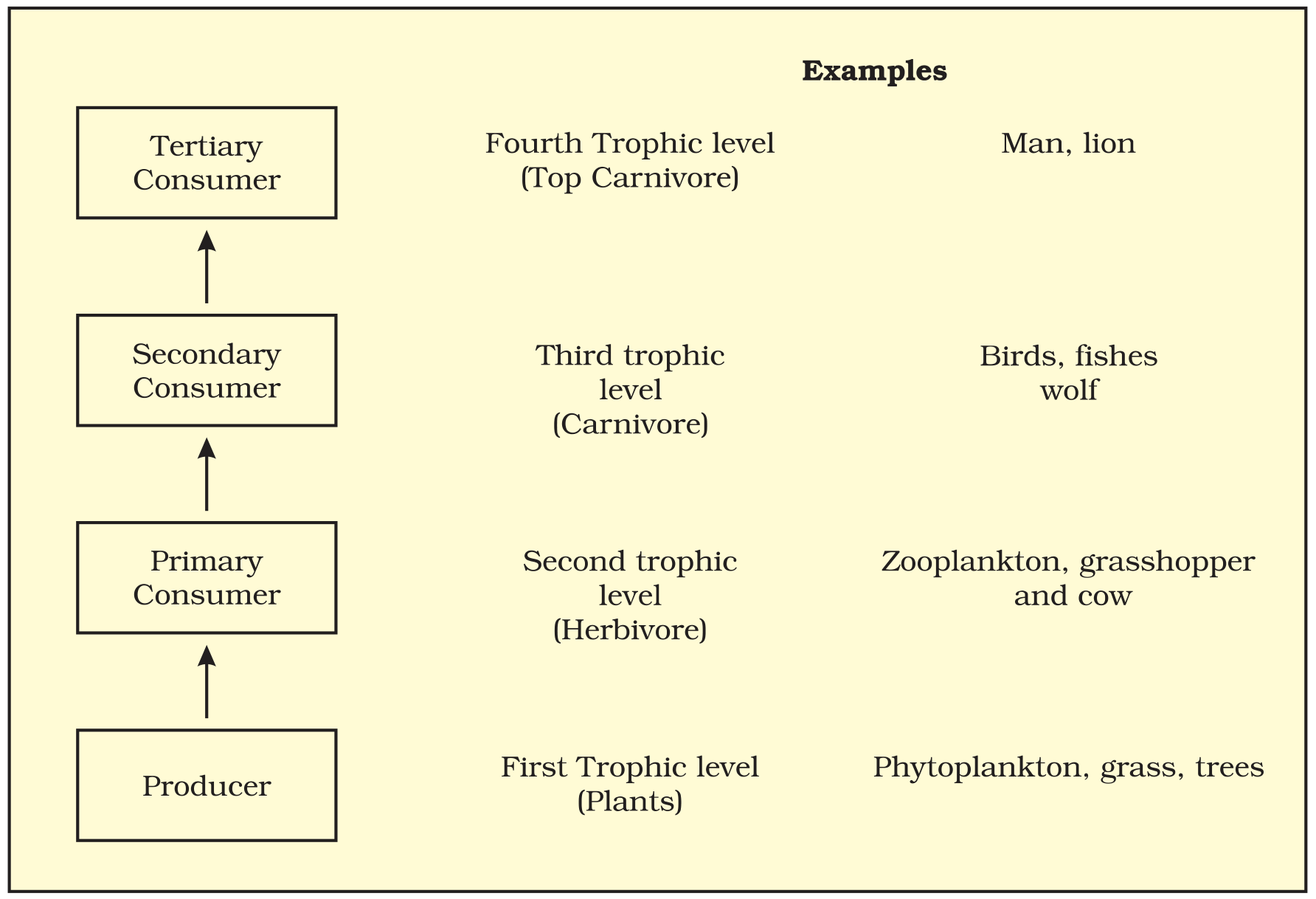 Textbook figure