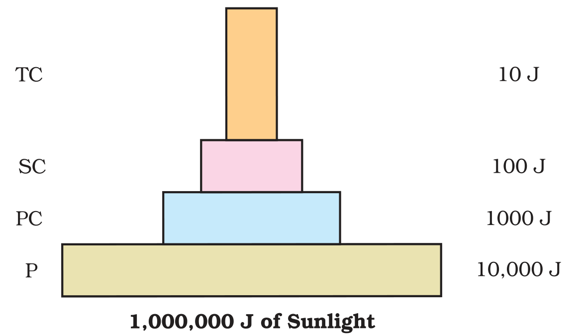 Textbook figure