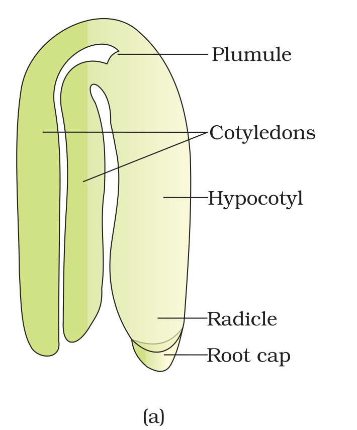 Textbook figure