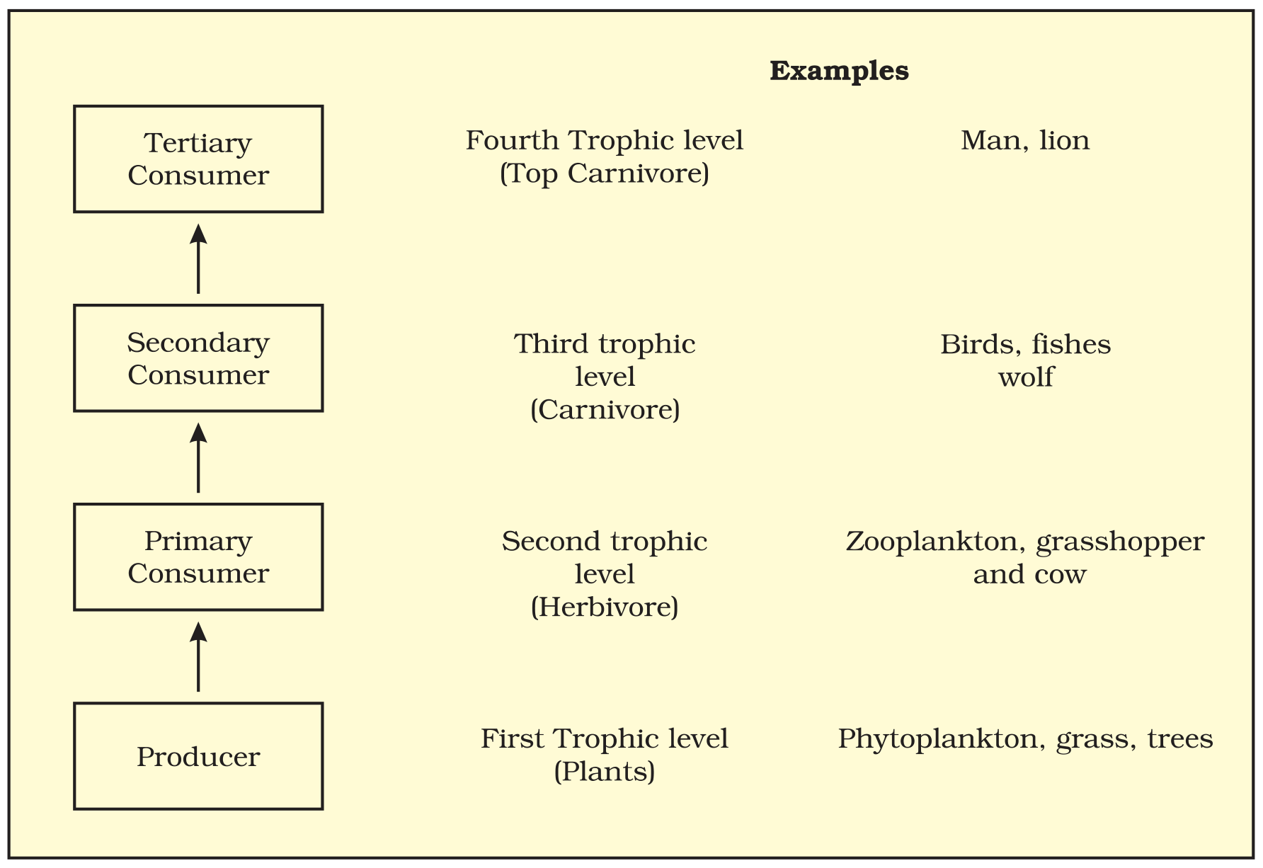 Textbook figure