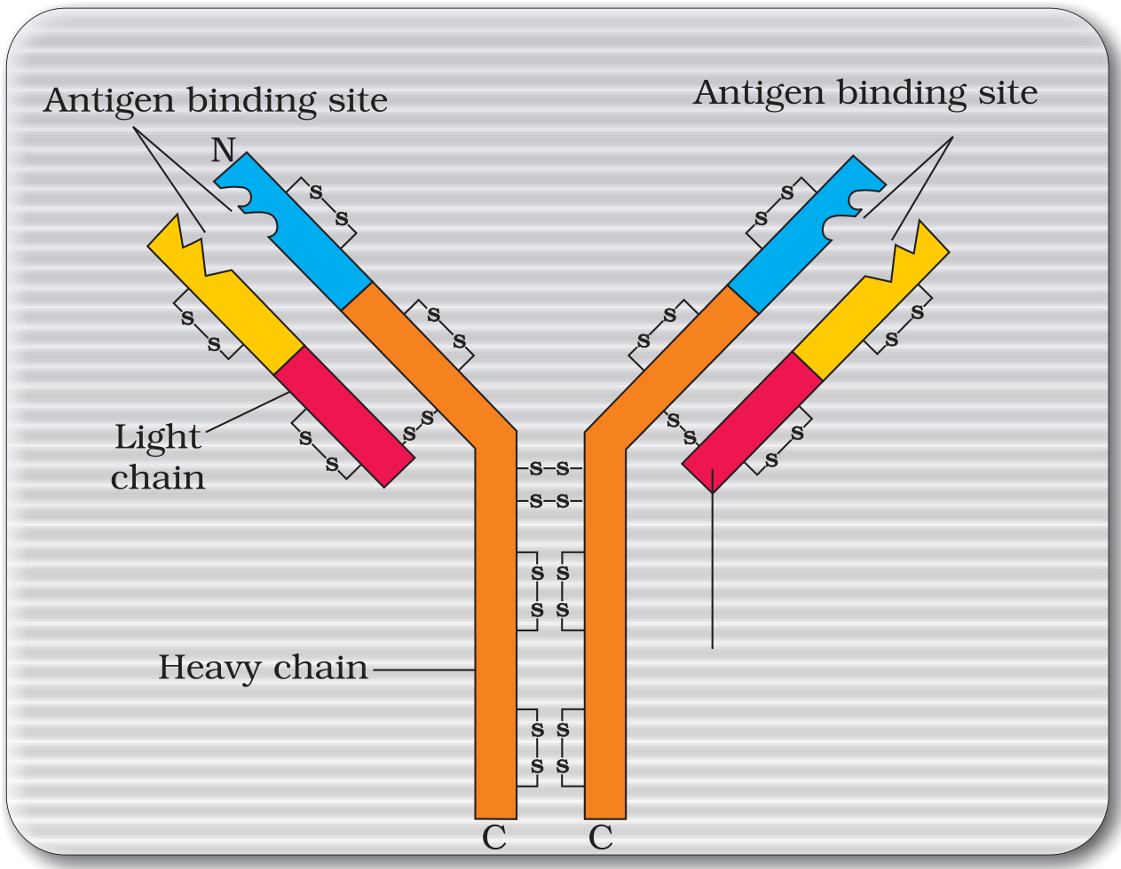 Textbook figure