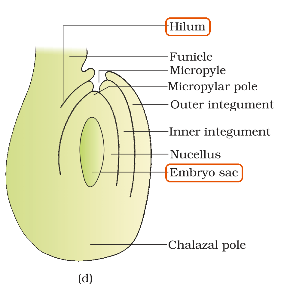 Textbook figure