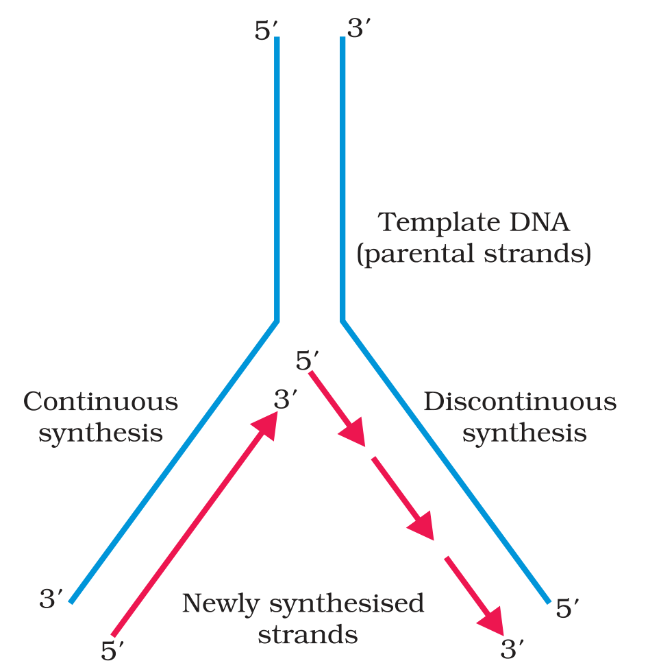 Textbook figure