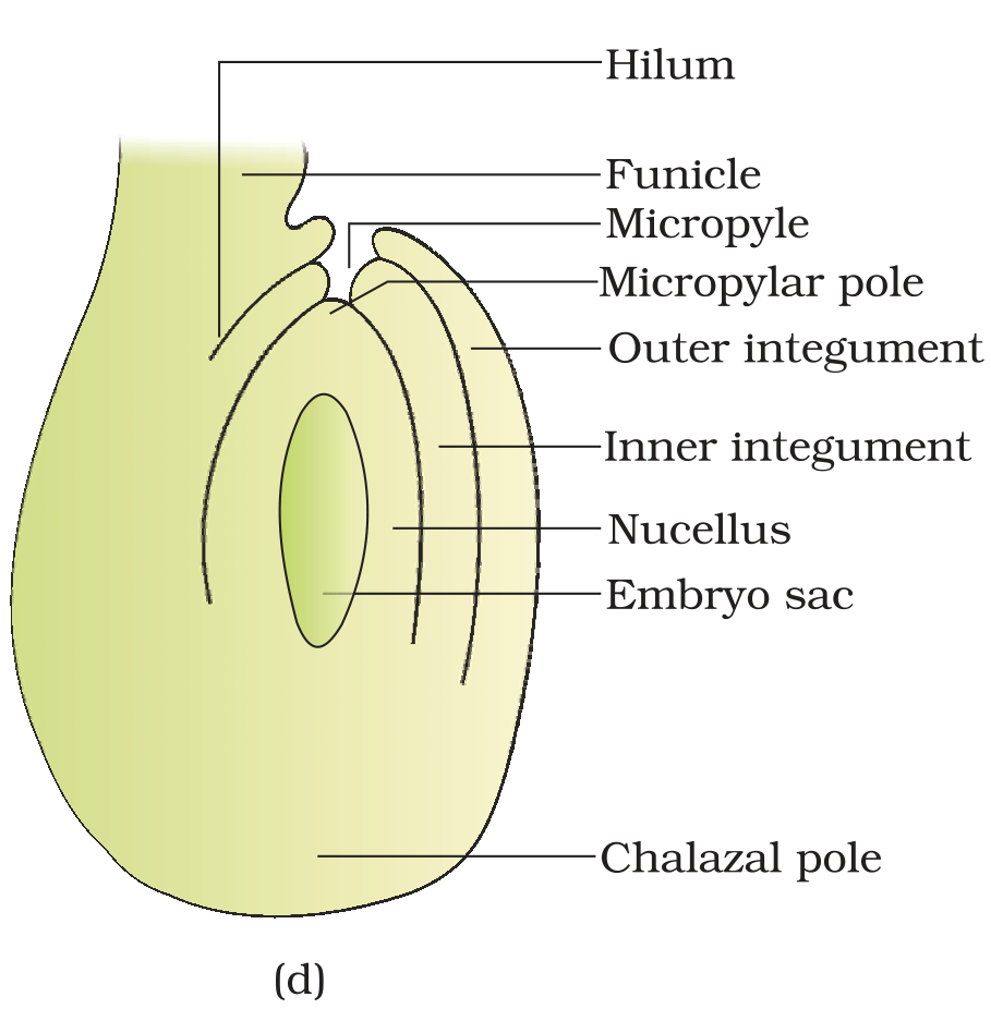 Textbook figure