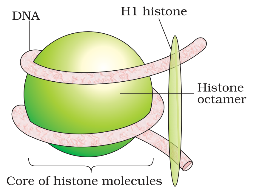 Textbook figure